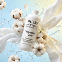 Blyss Natural Scented Mop Soap 5