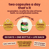 Dhop Gut Reset 3