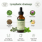 Lymphatic Wellness Drops