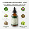 Lymphatic Wellness Drops